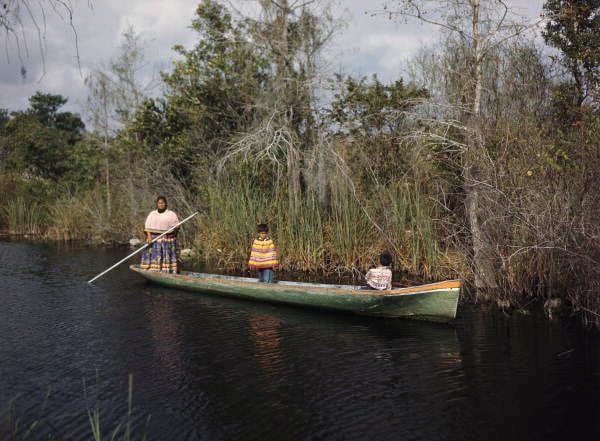 seminole indians travel in a canoe in florida everglades national park, gulf coast
