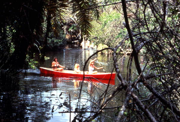 canoe tour in florida everglades gulf coast