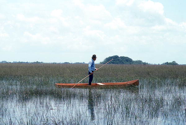 canoe in the florida everglades